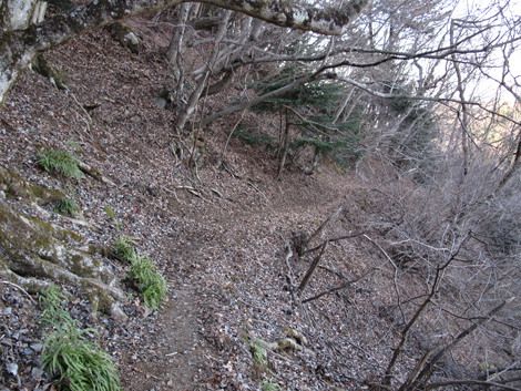 20190108hike (458)
